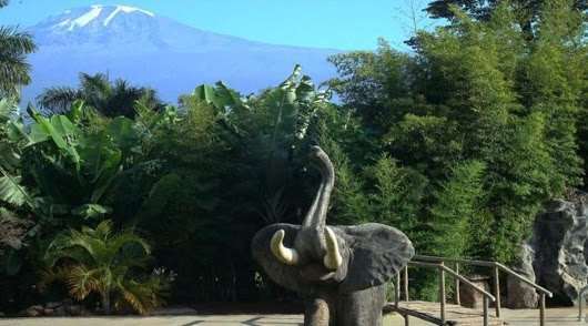 Kilemakyaro Mountain Lodge Moshi Bagian luar foto
